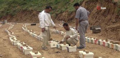 Bitlis&rsquo;te &uuml;retiliyor, b&ouml;lge illerine satılıyor! Tanesi 40 lira
