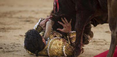 Boğanın intikamı acı oldu