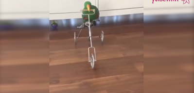 Bu papağan bisiklet s&uuml;r&uuml;yor