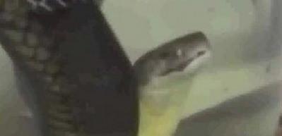 Bu video tam 340 milyon kez izlendi