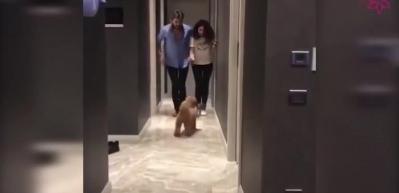 Buse Varol ile Bur&ccedil;in G&ouml;ksu'nun olaylı videosu