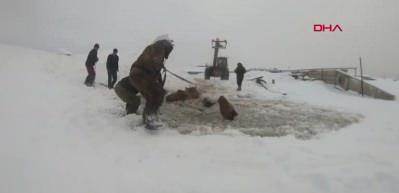 Buz kırılınca suya d&uuml;şen atlar b&ouml;yle kurtarıldı