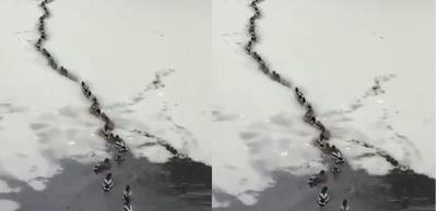 Buz tutan g&ouml;lde kendilerine yol a&ccedil;an &ouml;rdekler!