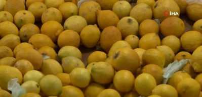 C vitaminin kaynağı olan limona talep arttı