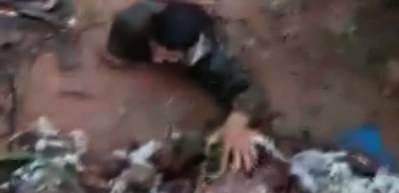 Canını hi&ccedil;e sayıp yavru k&ouml;pekleri selden kurtardı!