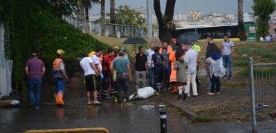 "Cici Baba" ile ilgili yeni detaylar ortaya &ccedil;ıktı