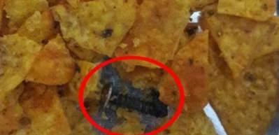 &Ccedil;ocuklarımız her g&uuml;n yiyor! Cips poşetinden &ccedil;ıkana bakın