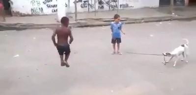&Ccedil;ocukların eğlencesine ortak olan k&ouml;pek rekor kırıyor