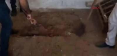 Cumhuriyet tarihinin en b&uuml;y&uuml;k tarihi eser operasyonu.! Ele ge&ccedil;irilen eserler b&ouml;yle sergilendi