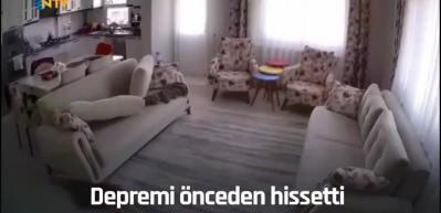 Depremi &ouml;nceden hisseden k&ouml;peğin panik halleri