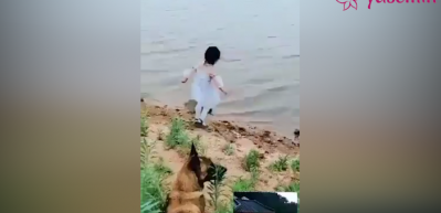Dereye d&uuml;şmek &uuml;zere olan kızı kurtaran kahraman k&ouml;pek!