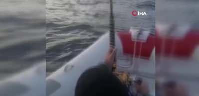 Dev orkinos amat&ouml;r balık&ccedil;ıları 8 saat Dat&ccedil;a&rsquo;dan Kos&rsquo;a oradan Bodrum&rsquo;a s&uuml;r&uuml;kledi