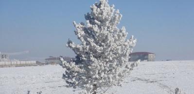 Doğu'da soğuk hava