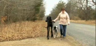 D&uuml;nyanın en uzun k&ouml;peği &ouml;ld&uuml;