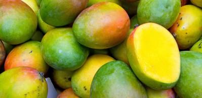 D&uuml;zenli mango t&uuml;ketirseniz ne olur?