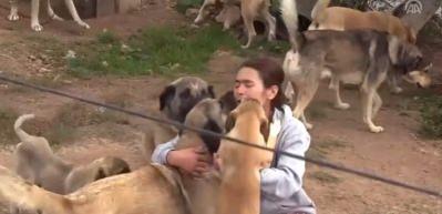 Emekli maaşını sokak k&ouml;pekleri i&ccedil;in harcıyor