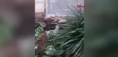 Endonezya'da evinin bahçesine göktaşı düşen kişi milyoner oldu