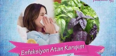 Enfeksiyonları atan karışım