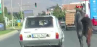 Erzincan Otomobile bağladıkları atı kilometrelerce koşturdular