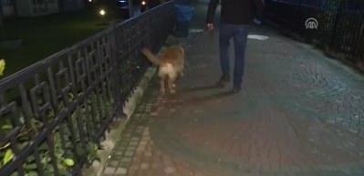Esenyurt'ta uyuşturucu operasyonu