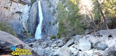 Farklı canlı t&uuml;rlerinin yaşadığı, şelalelerin aktığı, 30 metre ağa&ccedil;ların bulunduğu Yosemite Ulusal Parkı