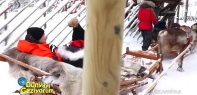 Finlandiya'da geyiklerle safari deneyimi