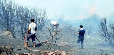 Bodrum'da korku dolu saatler!