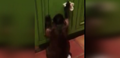 Gayretli maymuna ev hanımları bayılacak