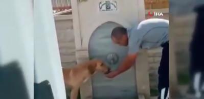 Görenler hayran kaldı! Köpeğe elleriyle su içirdi...