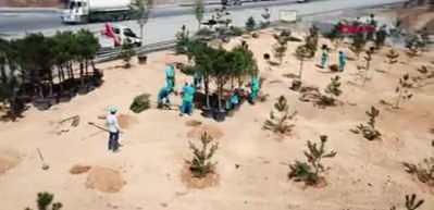 Başakşehir Şehir Hastanesi &ccedil;am ve sakura ile donatıldı
