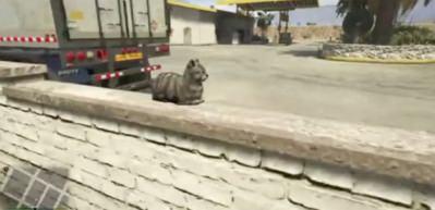 GTA 5'te güldüren kedi tepkisi