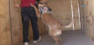 Hakkari&rsquo;de 'Huzur Arife-2' uygulaması