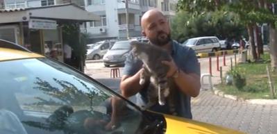 Hayvan dostu taksiciler