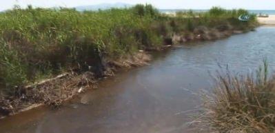 Her yerde aranıyordu... Ger&ccedil;ek &ccedil;ok farklı &ccedil;ıktı 