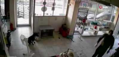 Hırsızlar elektrik&ccedil;iyi soydu, d&uuml;kkandaki k&ouml;pek ise olayı şaşkınlıkla izledi