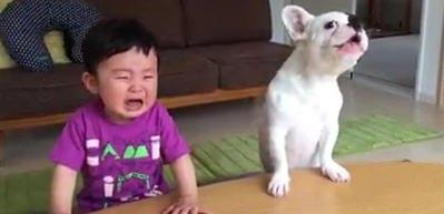Hızlı davranan k&ouml;pek, bebeği b&ouml;yle delirtti