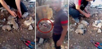 İdil&rsquo;de kan donduran vahşet...