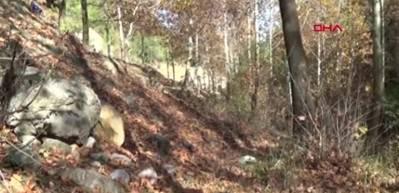 İdilli Vadisi'nde, sonbahar g&uuml;zelliği