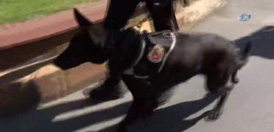 İstanbul'un giriş &ccedil;ıkışları tutuldu!