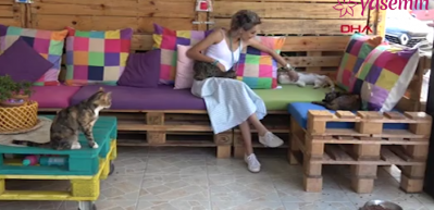 İzmit'te bir kuaf&ouml;r&uuml;n &ccedil;ırağı 15 tane kedi!
