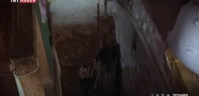 'Kadın evin g&uuml;l&uuml;. Ona bakmazsan Allah da sana bakmaz'