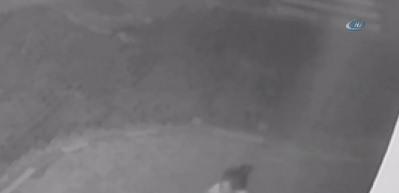 Kadın &ouml;ğretmene u&ccedil;an tekmeyle saldırma anı kamerada!