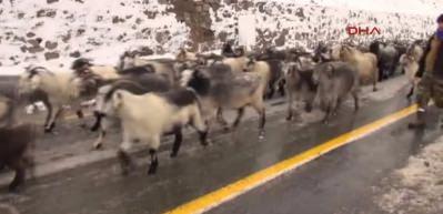Kar kalınlığı 50 cm'yi ge&ccedil;ti: 6 kişi kurtarıldı!