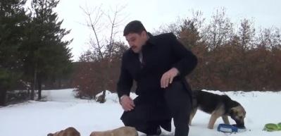 Kar yağdı sokak hayvanları unutulmadı