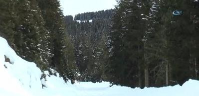 Karadeniz yaylaları Alpler'i aratmıyor