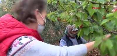 Kariyerini bırakıp &ccedil;ift&ccedil;i oldu, yılda 20 ton satıyor!