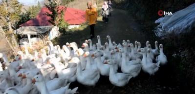 Kaz yetiştiricisi &uuml;niversite mezunu gen&ccedil; kız