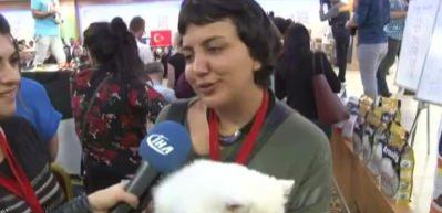 Kediler podyumdaydı