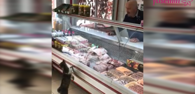 Kedinin g&ouml;z hakkını veren g&uuml;zel insan