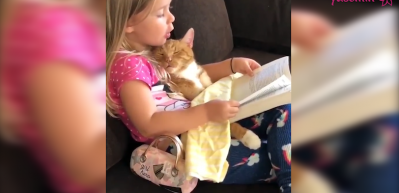 Kedisine kitap okuyan sevimli kız